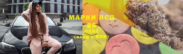 гашик Богородск