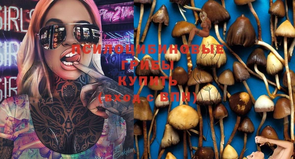 Альфа ПВП Бронницы